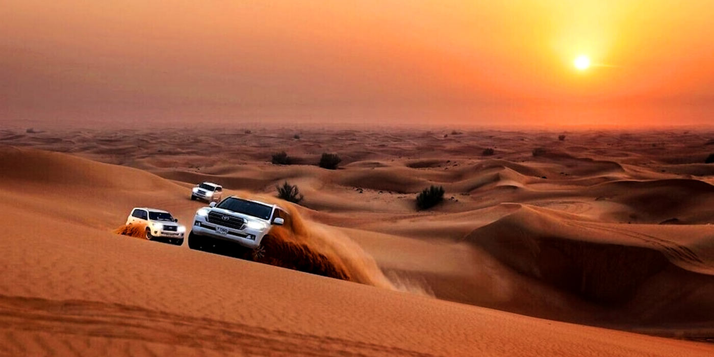 Evening Desert Safari