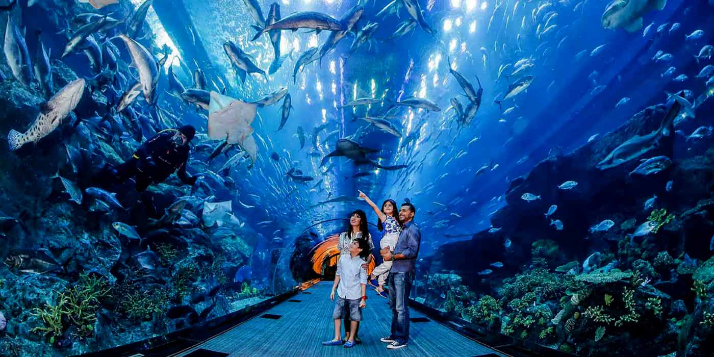 Dubai Aquarium & Underwater Zoo