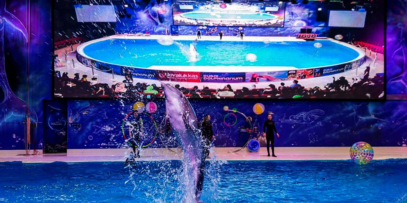 Dubai Dolphinarium & Seal Show