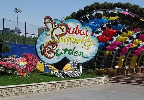 Butterfly Garden Dubai